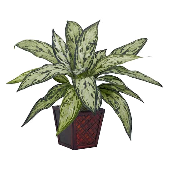 12" Potted Silver Queen Plant, 2ct.